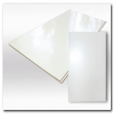 Панель пластиковая белый глянец (0,25х3) Декор (5)