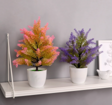 Бонсай "Кипарисовик" 9х30см Микс 7081298