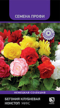 Семена Бегония клубневая Нонстоп Микс 10шт (Поиск)