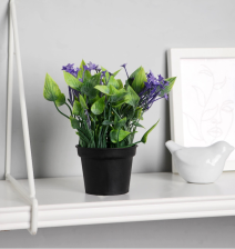 Бонсай в горшке "Кислица люкс" 7х14см, микс 9750539