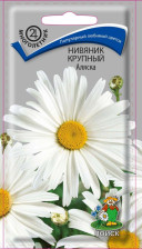 Семена Нивяник крупный Аляска (Поиск)