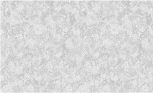 Обои Раджа фон 03 С50 Саратов (1,06х10,05) (6)