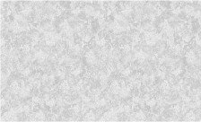Обои Раджа фон 03 С50 Саратов (1,06х10,05) (6)