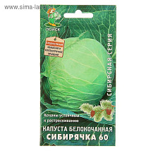 Семена Капуста б/к Сибирячка 60 (Сибирская серия) (Поиск)