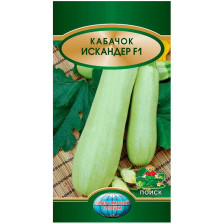 Семена Кабачок Искандер F1 (ЛМС) (Поиск)