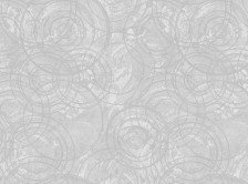 Обои 60260-05 Erismann Tiara 1,06х10,05 (6)