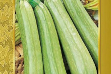 Семена Кабачок Камили F1 (Домашняя загатовка) (Поиск)