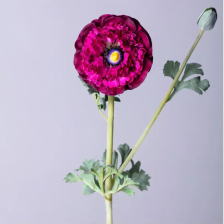 Цветок искуственный Ранункулюс 55см 287-527