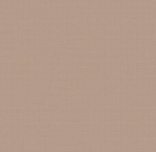 Обои 585279 Victoria Stenova Connect (1,06х10) (6)