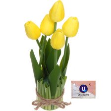 Букет Тюльпаны "Весенняя рапсодия" 10х26см (желтые) 951-395