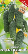 Семена Огурец Малыши-карандаши F1 (А) (Поиск)