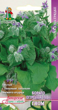 Семена Бораго (Огуречная трава) Гном (А) (Поиск)