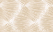 Обои 24007-2 Style Walls 1,06x10 (6)