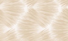 Обои 24007-2 Style Walls 1,06x10 (6)