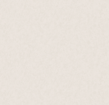 Обои 585322 Victoria Stenova Olympia (1,06х10) (6)