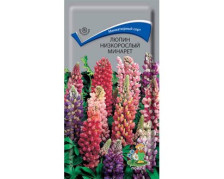 Семена Люпин низкорослый Минарет (Поиск)