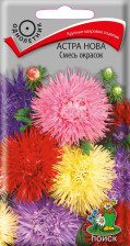 Семена Астра нова Смесь окрасок (Поиск)