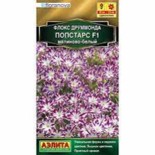 Семена Флокс друммонда Попстарс F1 малиново-белый 5шт одн (Аэлита)