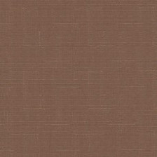 Штора мини рулонная СРШ-01МЭ-2439 47(43)х160 какао