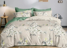 КПБ поплин Pure Cotton 009-PCE 70х70 1,5 сп Cleo