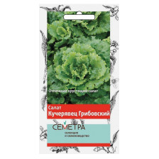 Семена Салат Кучерявец Грибовский (Поиск)