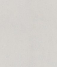 Обои R25507 Zambaiti 1,06х10,05 (4)