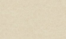 Обои 95027 Style Walls 1,06x10 (6)