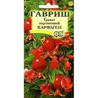 Семена Гранат Карфаген карлик 5 шт (Гавриш)
