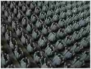 Щетинистое покрытие БалтТурф 127 1,2м (мокрый асфальт)