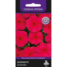 Семена Катарантус Казанова (Поиск)