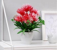 Бонсай в горшке "Карпобротус" 7х18см, микс 5201937