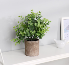 Бонсай в горшке "Буксус" 7,5х21см, 7081328