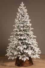 Ель 210см Донская заснеженная ЕДОН21 (РЕ)