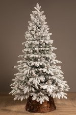 Ель 210см Донская заснеженная ЕДОН21 (РЕ)