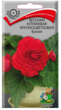 Семена Бегония клубневая крупноцветковая Красная (Поиск)