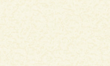 Обои 8210-5 Style Walls 1,06x10 (6)