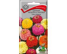 Семена Цинния низкорослая Фея Смесь красок (Поиск)