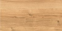 Керамогранит (29,7x59,8) WOODHOUSE коричневый WS4O112D (Cersanit, Россия)