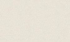 Обои 80162 Style Walls 1,06x10 (6)