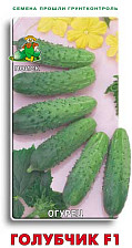 Семена Огурец Голубчик F1 (Поиск)