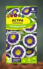 Семена Астра помпонная Голубая луна 0,1г (Сем Алт)