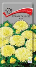 Семена Астра Леди Корал Жёлтая (Поиск)