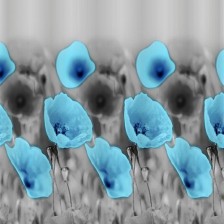 Штора для ванной комнаты 180х180см САНАКС ГОЛУБЫЕ МАКИ без колец 01-26