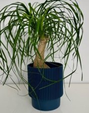 Кашпо Elsa d17 h19см 3,94л синий