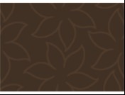 Коврик для ванной комнаты FLO дизайн 3023 50х80см brown