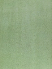 Пленка Axelfix с/кл 3851 песок зелен 0,45х8м