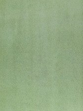 Пленка Axelfix с/кл 3851 песок зелен 0,45х8м