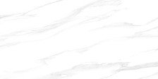 Керамогранит (60х120) Statuario Silver 60120STA15P полированный (LCM, Индия)