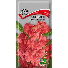 Семена Бальзамин Том Самб Салмон (Поиск)