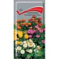 Семена Гелихризум Низкорослая смесь  (Поиск)